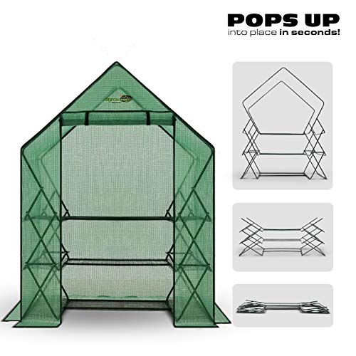 OGrow OGPOP7756-PE Pop Greenhouse, Green Cover