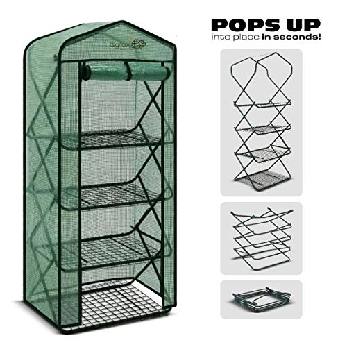 OGrow OGPOP6227-PE Pop Greenhouse, Green Cover